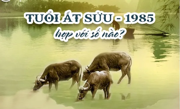 Tuổi sửu 1985 hợp với số điện thoại nào