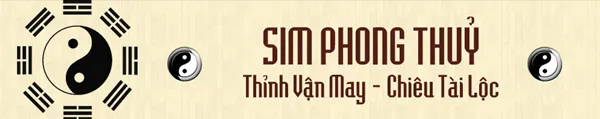 Sim phong thủy thỉnh vận may - chiêu tài lộc