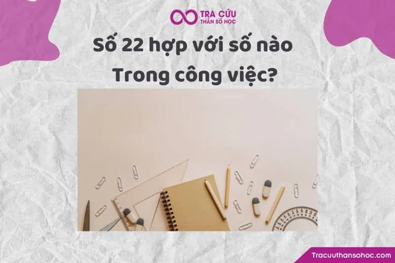 Số 22 hợp với số nào trong công việc