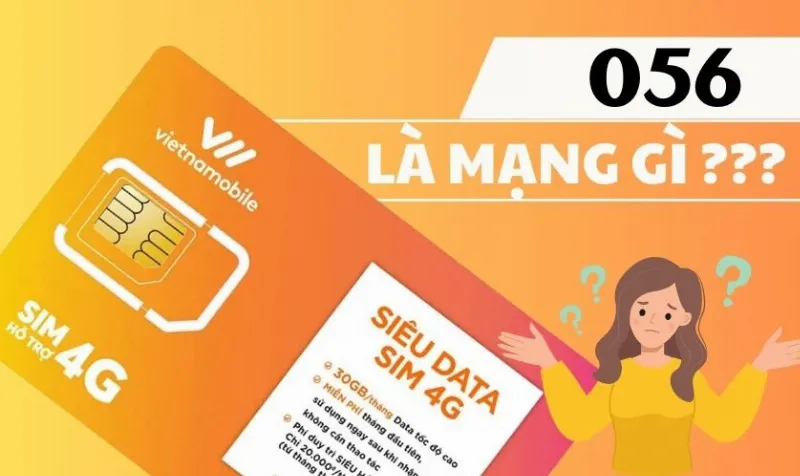 Đầu số 056 là mạng gì?