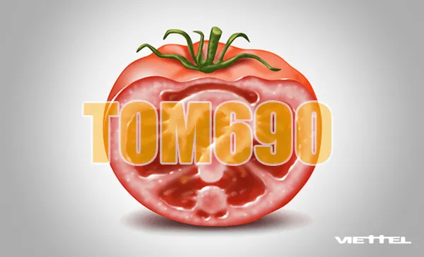 Gói cước Tom690 Viettel