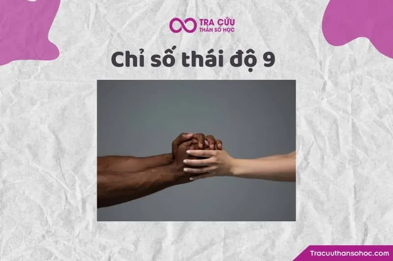 Chỉ số thái độ 9