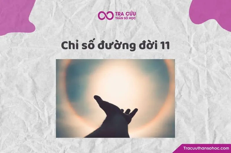 Chỉ số đường đời 11