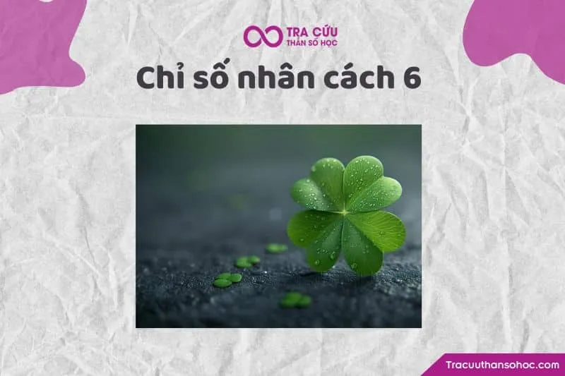 Chỉ số nhân cách 6